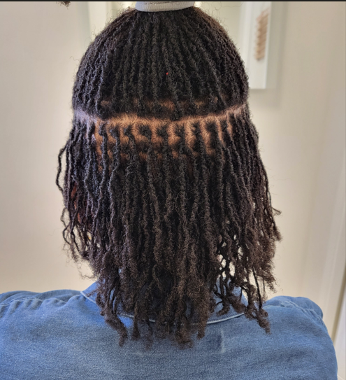 sisterloc1